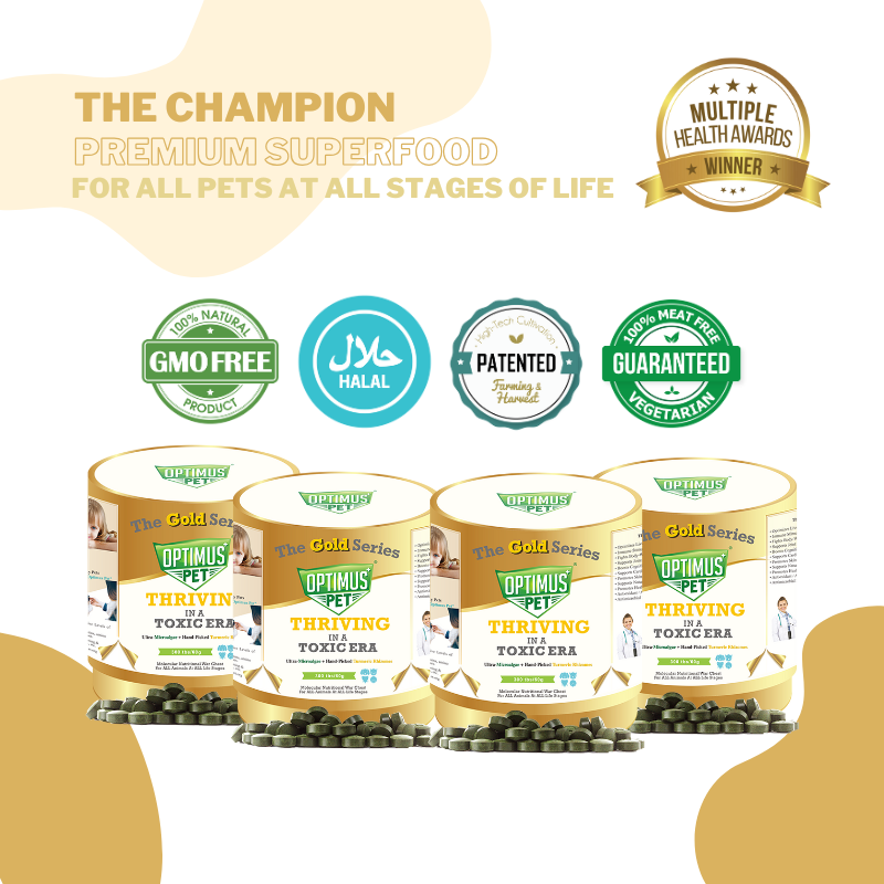 THE GOLD SERIES 300 TABLETS