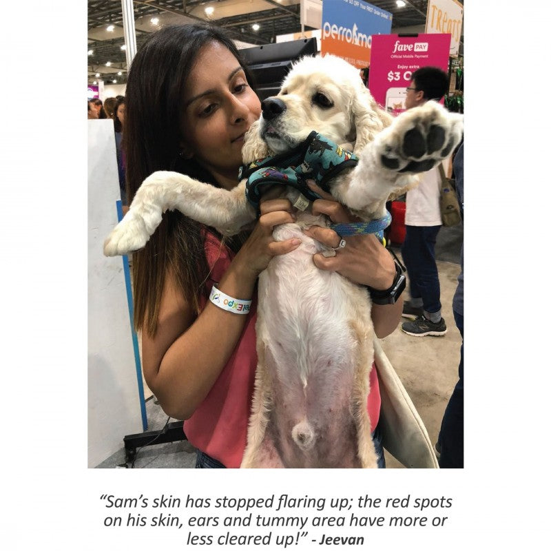 THE GOLD SERIES 300 TABLETS