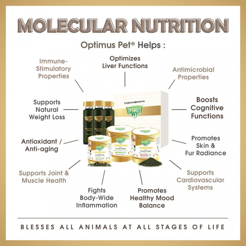 THE GOLD SERIES 300 TABLETS