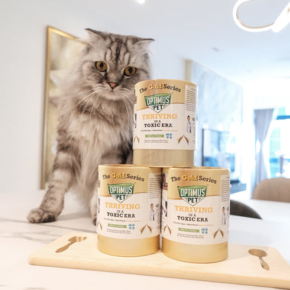 Three Optimus Pet Gold Series bottles stacked on a wooden tray in a kitchen, with a long-haired gray tabby cat standing behind them.