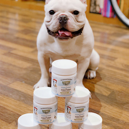 A white French Bulldog sits behind a pyramid arrangement of six bottles of the optimus pet blue series on a polished wooden floor in a store setting.