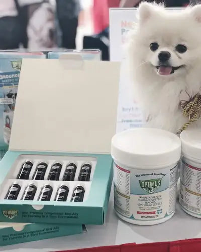 A smiling white Pomeranian behind an open box of The Potent Vials and Optimus Pet jars