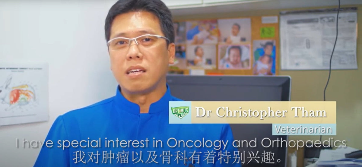 Optimus Pet review by Jireh Veterinary Clinic