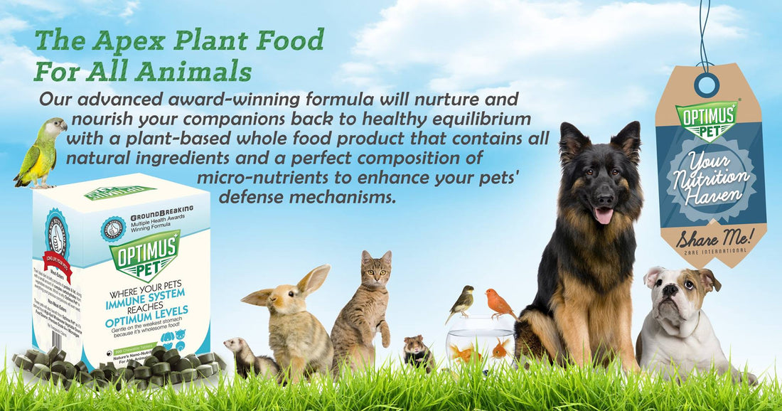 OPTIMUS PET® YOUR NUTRITION HAVEN