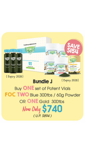 Expo Bundle J - V1 (Only 3 in Stock)