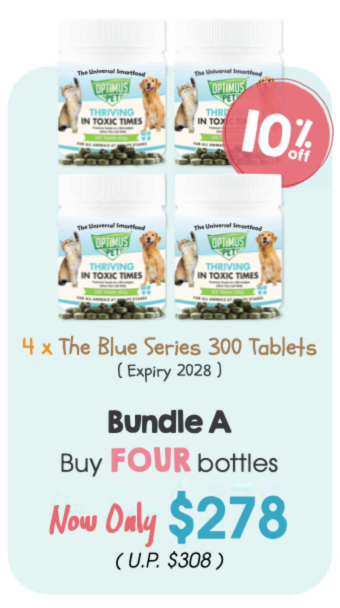 Expo Bundle A