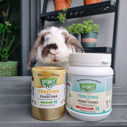 Two bottles of optimus pet (gold series on the left, blue series on the right), displayed on a gray shelf in front of a brown and white rabbit.