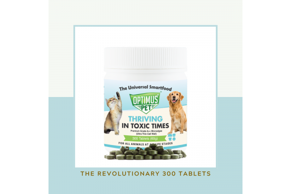 THE REVOLUTIONARY 300 TABLETS