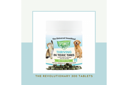 THE REVOLUTIONARY 300 TABLETS