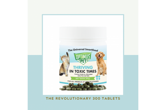 THE REVOLUTIONARY 300 TABLETS