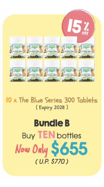 Expo Bundle B