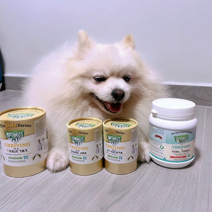 A fluffy white Pomeranian dog sits behind several Optimus Pet bottles on a light gray floor against a pale wall. The first three bottles are the gold series, and the last one is the blue series.