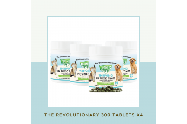 THE REVOLUTIONARY 300 TABLETS