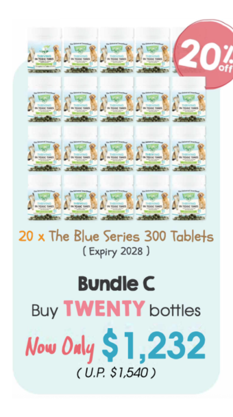 Expo Bundle C (Only 2 in Stock)