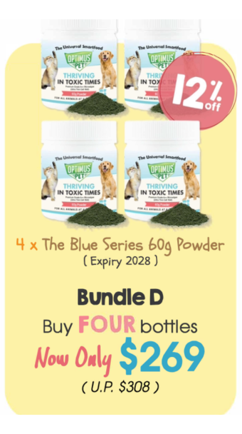 Expo Bundle D