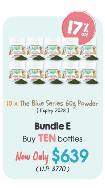 Expo Bundle E