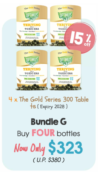 Expo Bundle G