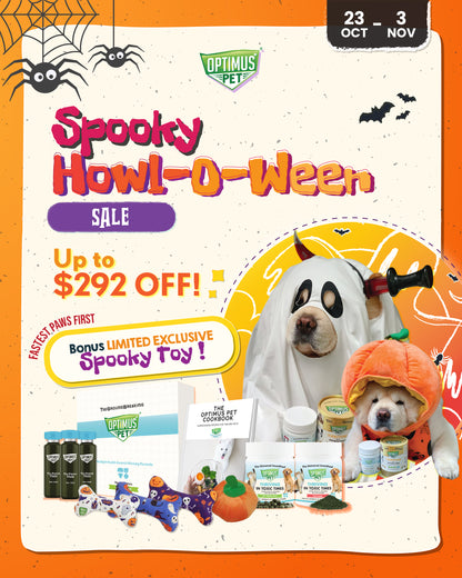 Magical Glow Elixir Set A