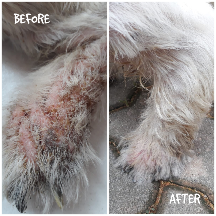 A dog's paw before and after, side by side
