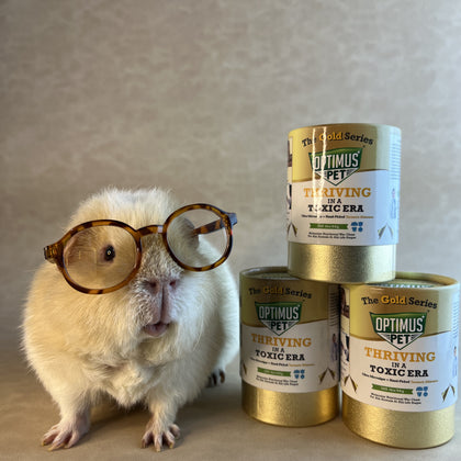 A white guinea pig wearing tortoiseshell glasses stands next to three stacked Optimus Pet Gold Series bottles.