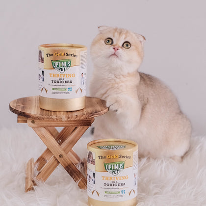 Two gold series optimus pet bottles are displayed on a small wooden stool and the floor, with a fluffy cream-colored cat sitting behind them on a white faux fur rug against a light gray background.