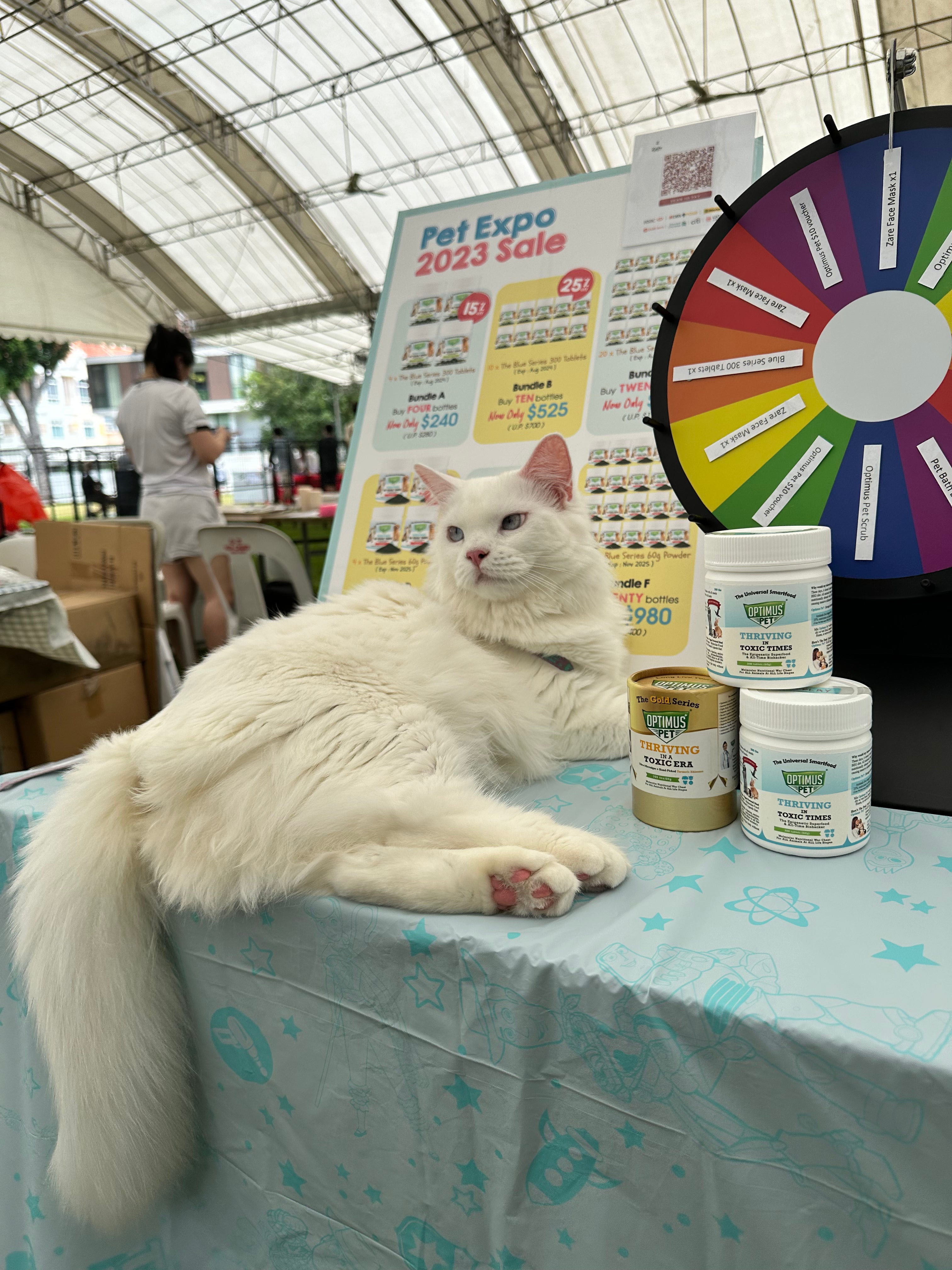 A fluffy white cat lies on a light blue tablecloth-covered table at a pet expo sale, with three bottles of optimus pet in front of it and a colorful prize wheel in the background. The bottles are one gold series, and two blue series of optimus pet.
