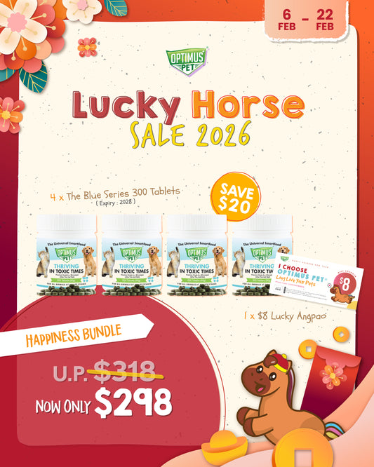 CNY Promo 1 - Happiness Bundle