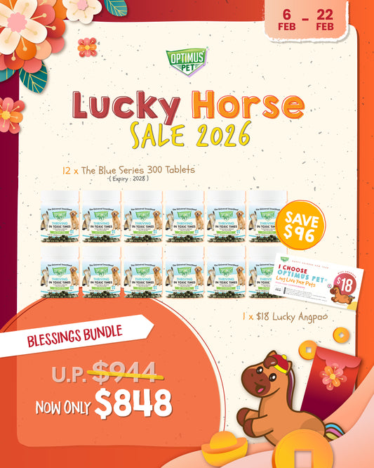 CNY Promo 2 - Blessings Bundle
