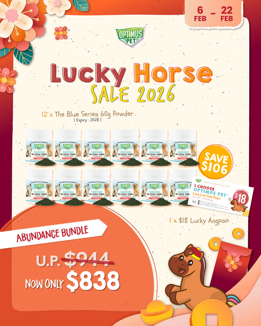 CNY Promo 4 - Abundance Bundle