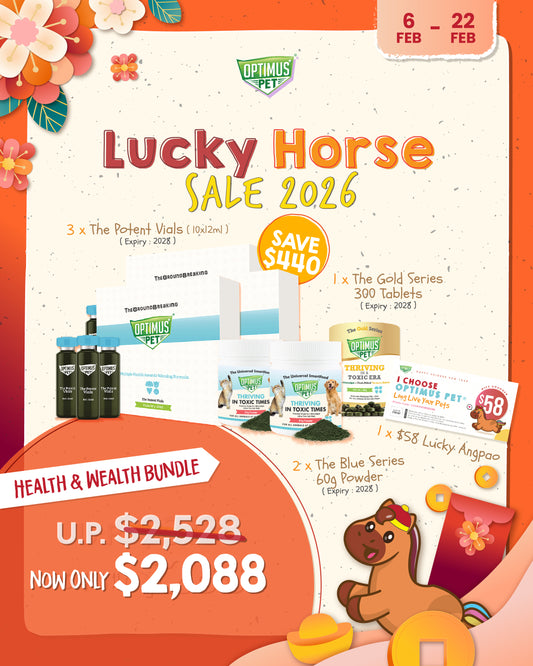 CNY Promo 8 - Health & Wealth Bundle