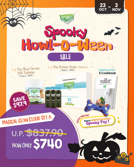 Magical Glow Elixir Set A