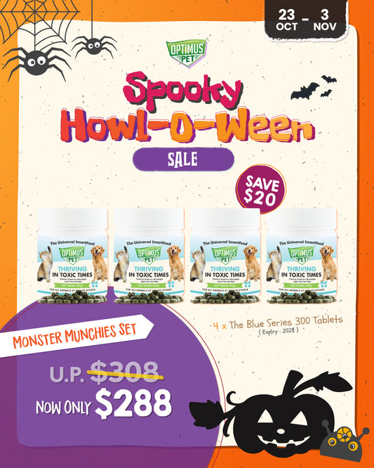 Monster Munchies Set