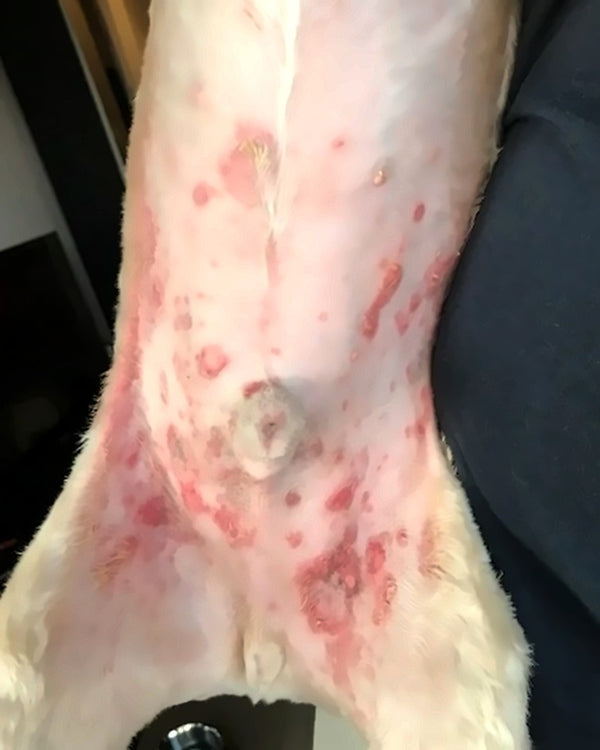 Rashes, cleared up, before