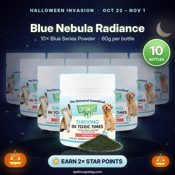 Blue Nebula Radiance: 10× Blue Series Powder