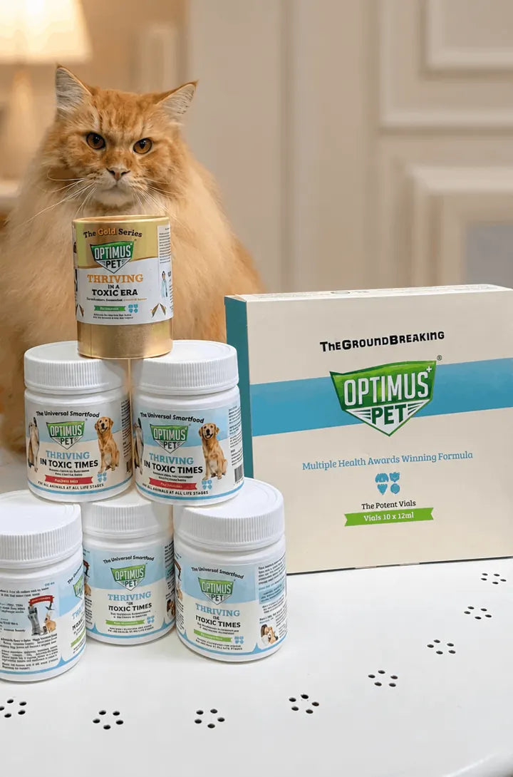 A ginger cat behind a pyramid of Optimus Pet jars