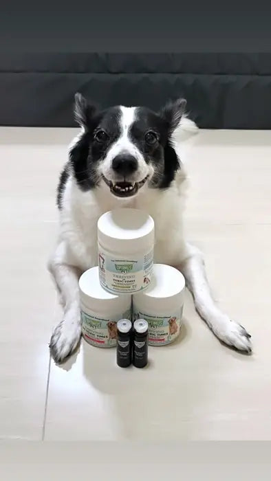A smiling dog behind a stack of Optimus Pet jars and vials