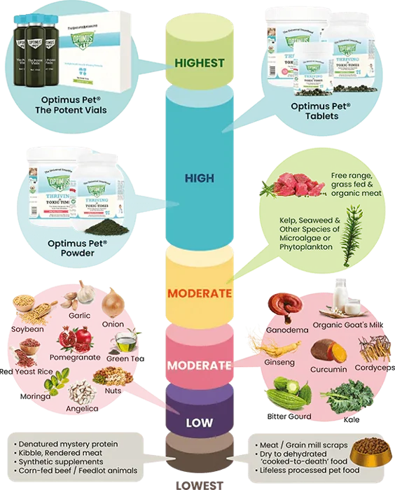 Optimus Pet nutrient-density ranking, from highest (The Potent Vials, tablets, powder) to lowest (processed pet food)