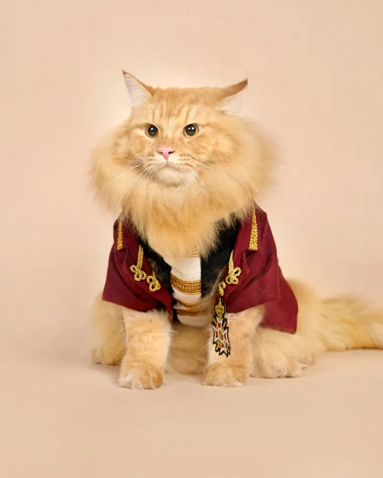 A fluffy ginger cat wearing a red royal jacket with gold trim and a medal